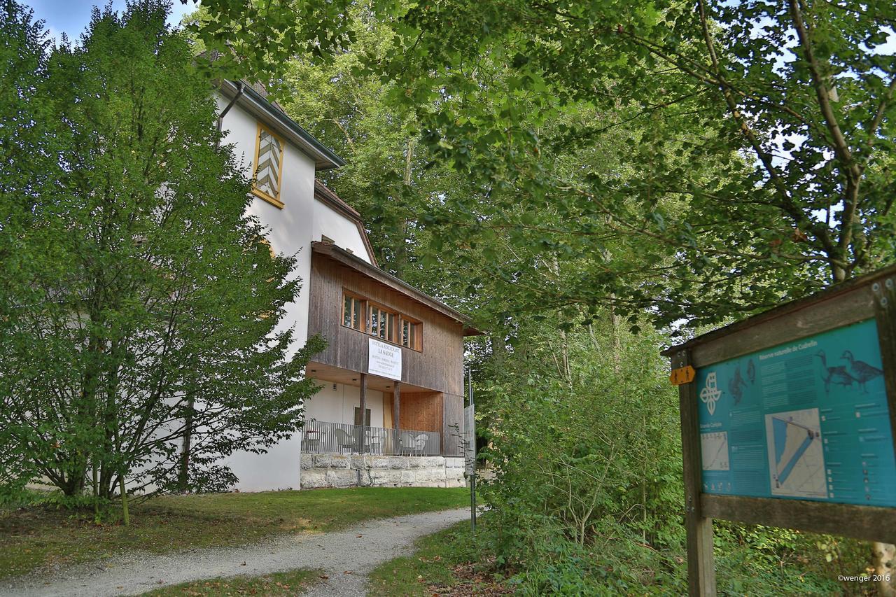 Hotel Domaine De La Sauge Cudrefin Eksteriør billede
